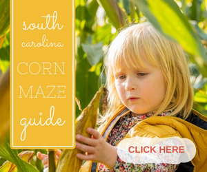 South Carolina Corn Mazes