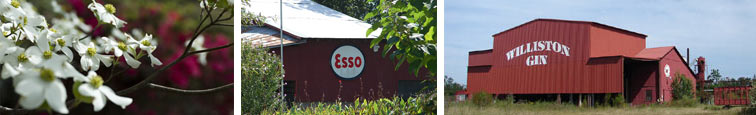 Leaderboard Banner