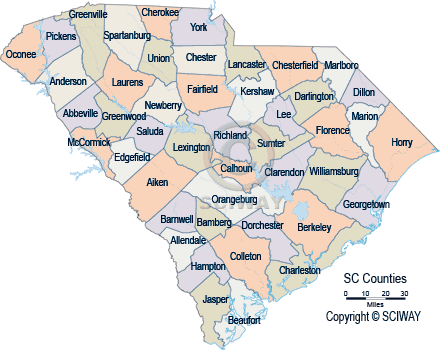 map of south carolina cities and towns South Carolina County Maps